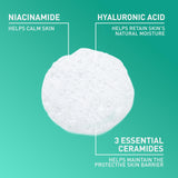 CeraVe Acne Face Cleanser 2% Salicylic Acid Oil Absorbing Clay for Breakout Control 16 Ounce