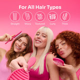 Wet Brush Original Detangler Hair Brush for Wet & Dry Hair All Hair Types
