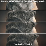 Just For Men Control GX Hair Color Shampoo for Gradual Grey Reduction and Healthy Hair Appearance