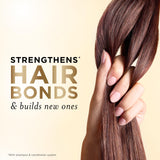 Pantene Daily Moisture Renewal Hair Care Set for Soft Smooth and Healthy Looking Hair All Types